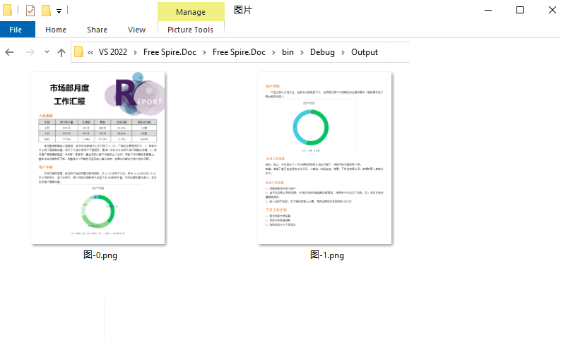 通过 C# 将 HTML 文件转换得到的 PNG 图片