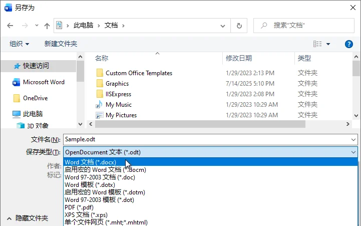 在 Microsoft Word 中将 ODT 保存为 Word